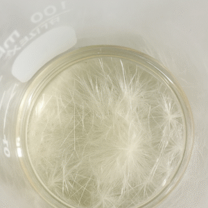 general formulation consultancy