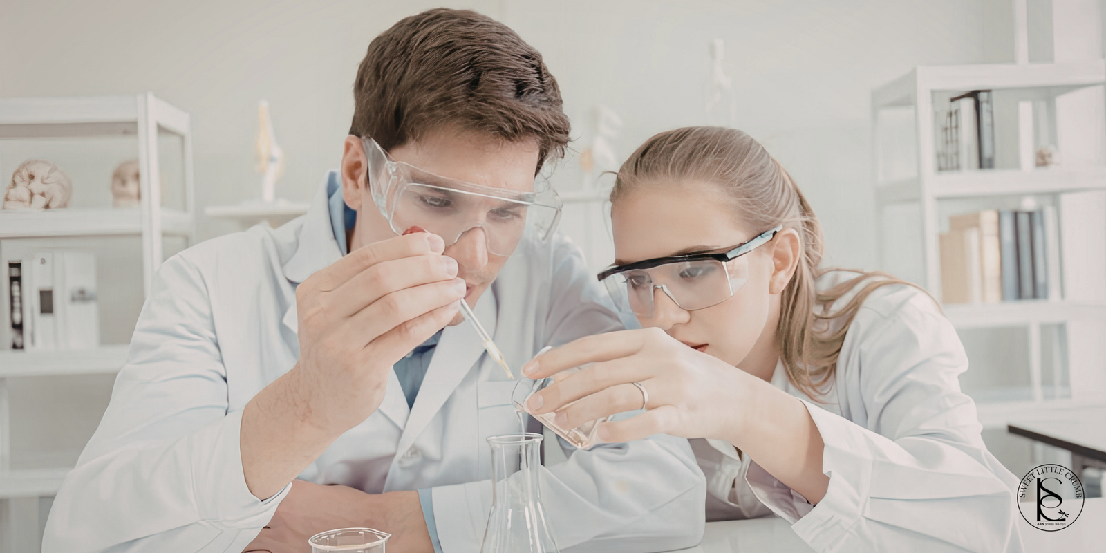 education 3 education 3