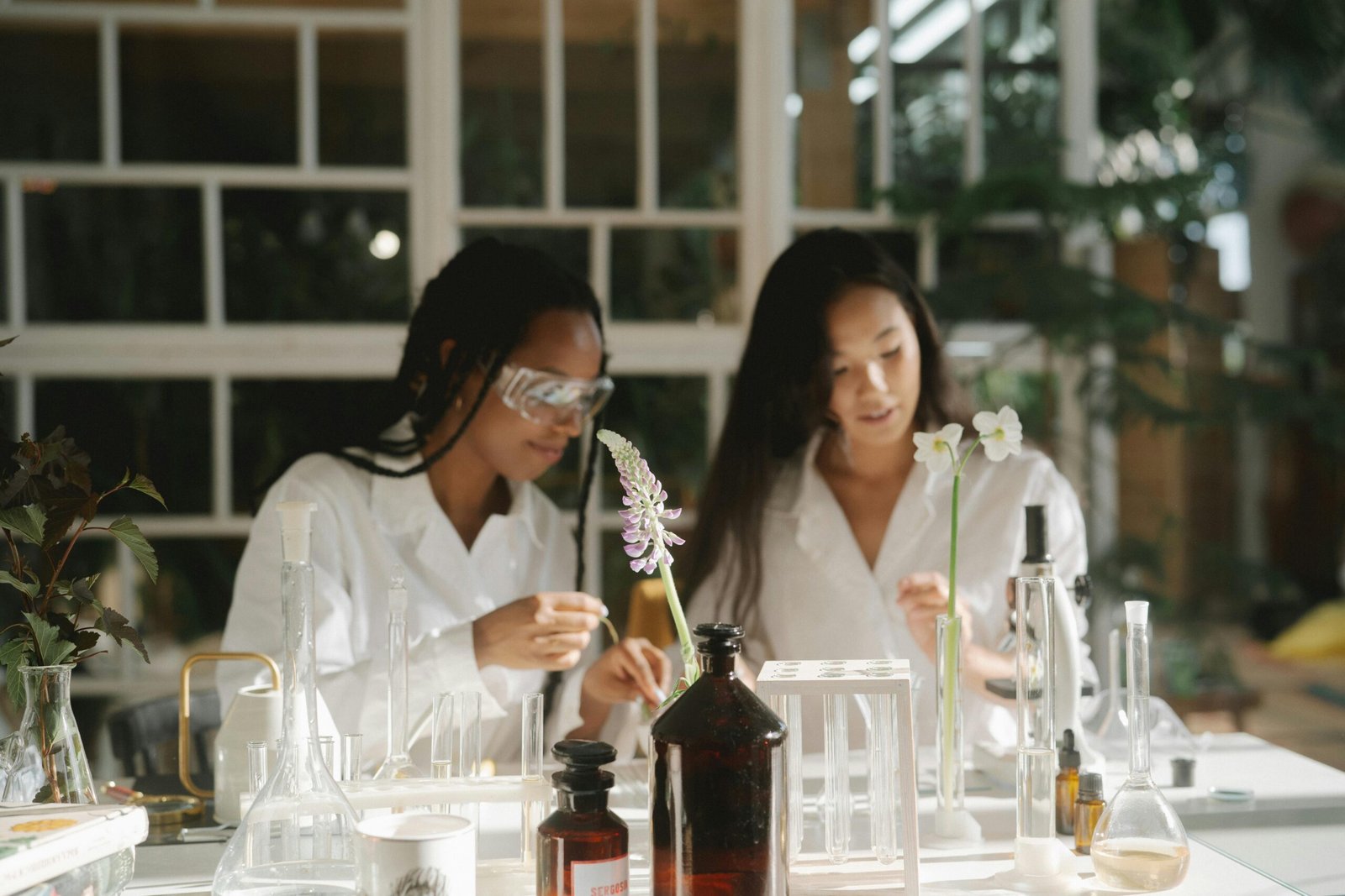 zipwp image 8514936 Two women botanists conducting plant research in an indoor laboratory setting.